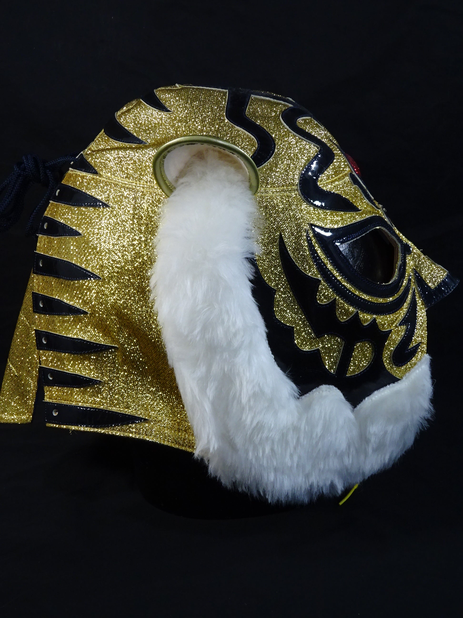 The first Tiger Mask – 闘道館