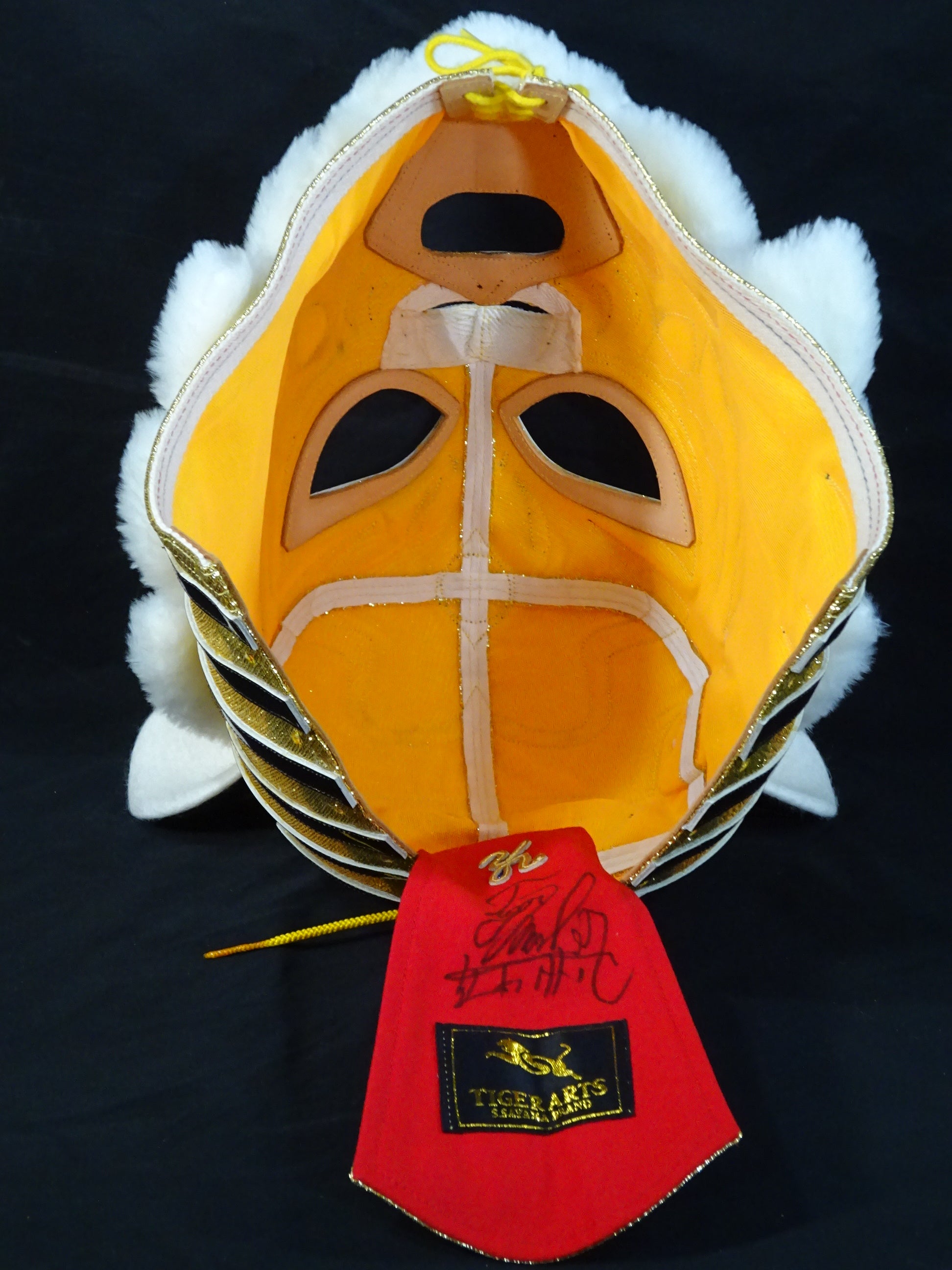 The first Tiger Mask – 闘道館