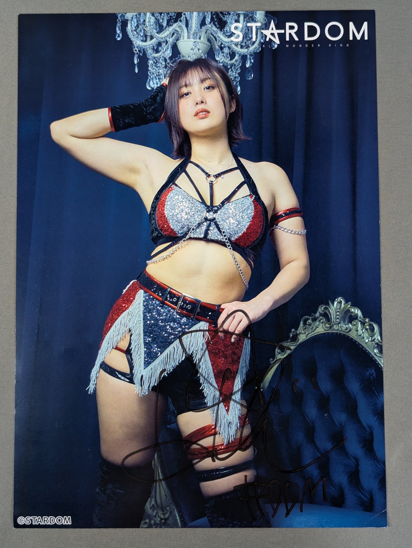 ひめか 直筆サイン入り スターダムポートレート(S-2)