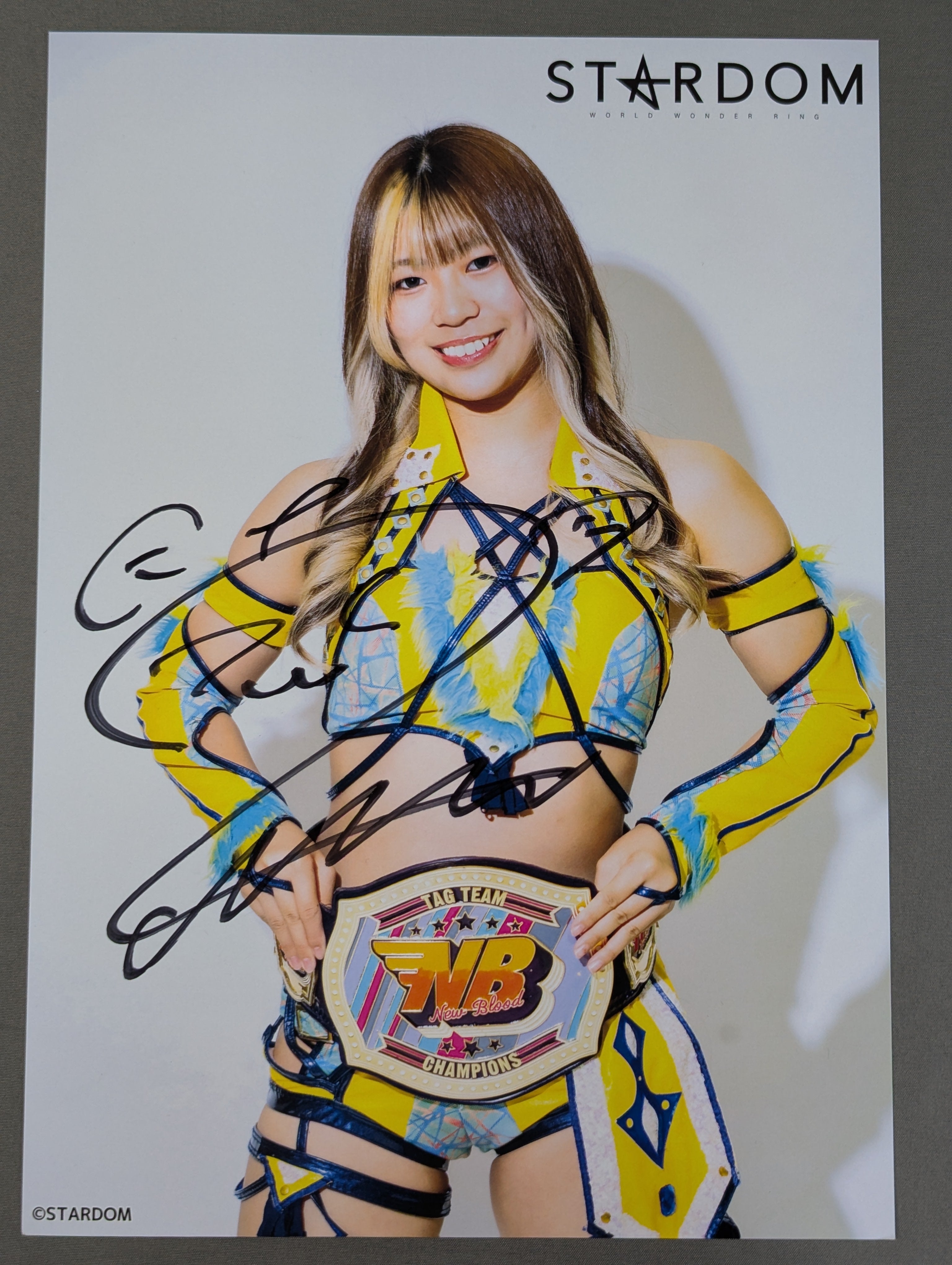 羽南 直筆サイン入り スターダムポートレート(F-8) – 闘道館