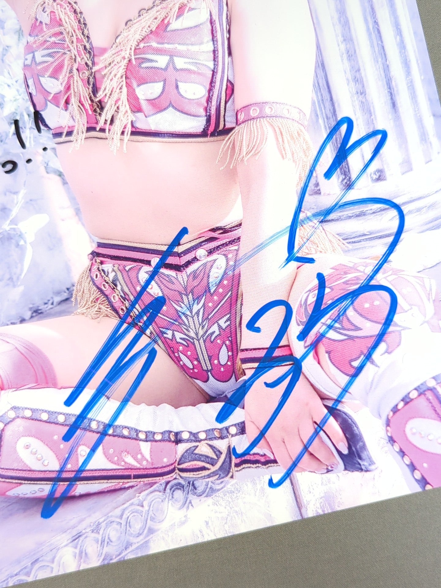 白川未奈 サイン入りトロフィー付きフレーム 白川未奈 直筆サイン入り スターダムポートレート(M-1) – 闘道館