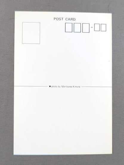 Hulk Hogan vs. Antonio Inoki  Postcards