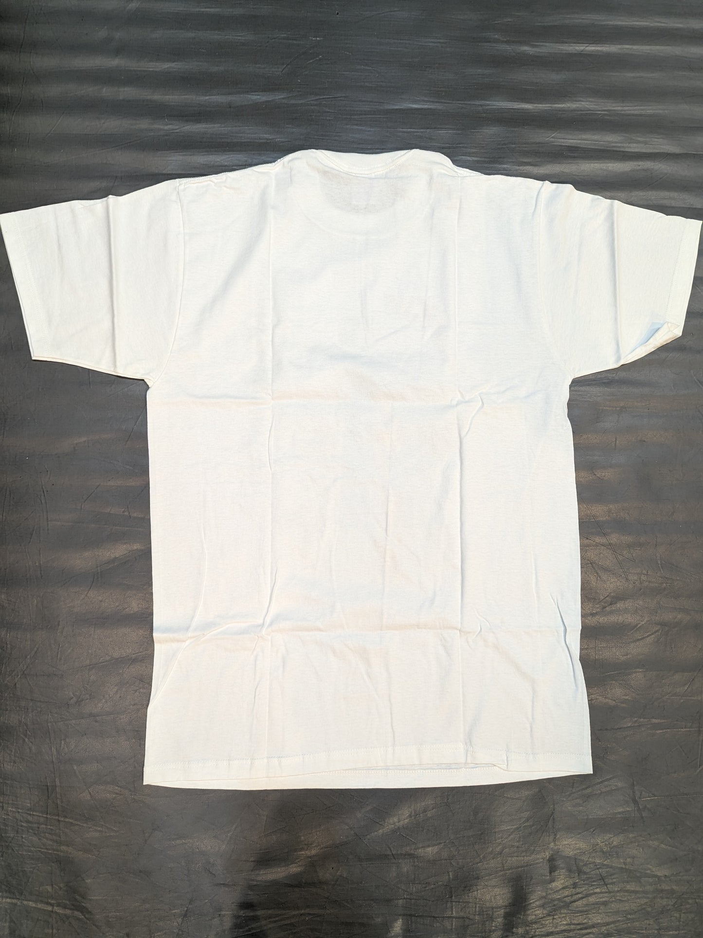 武藤敬司「IWGP CHAMPION」フォトプリント Tシャツ②