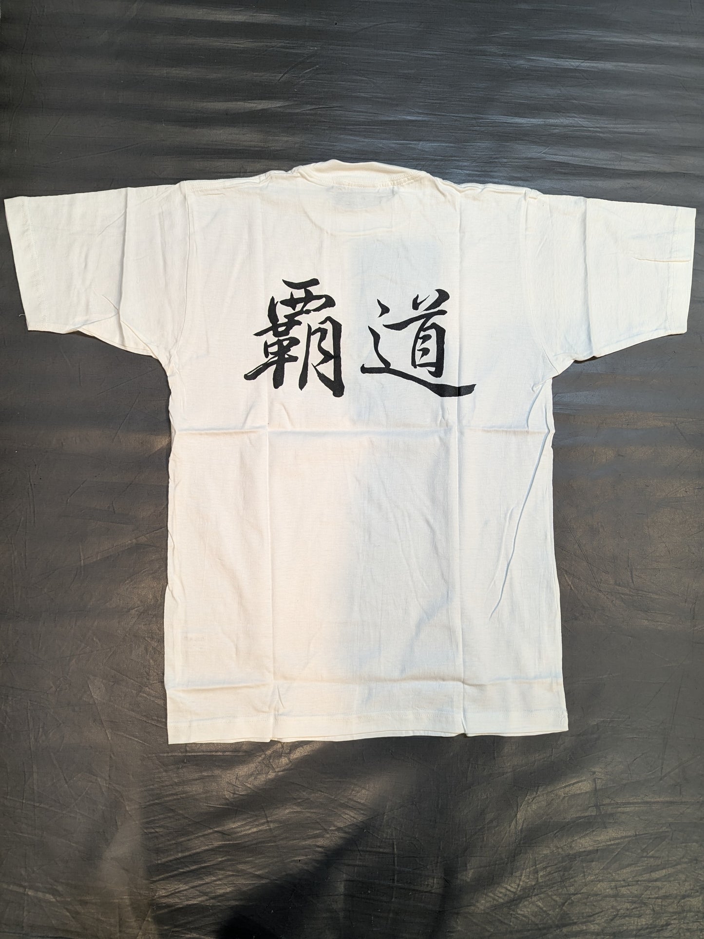 パワー・ウォリアー 坂井永年氏イラストTシャツ