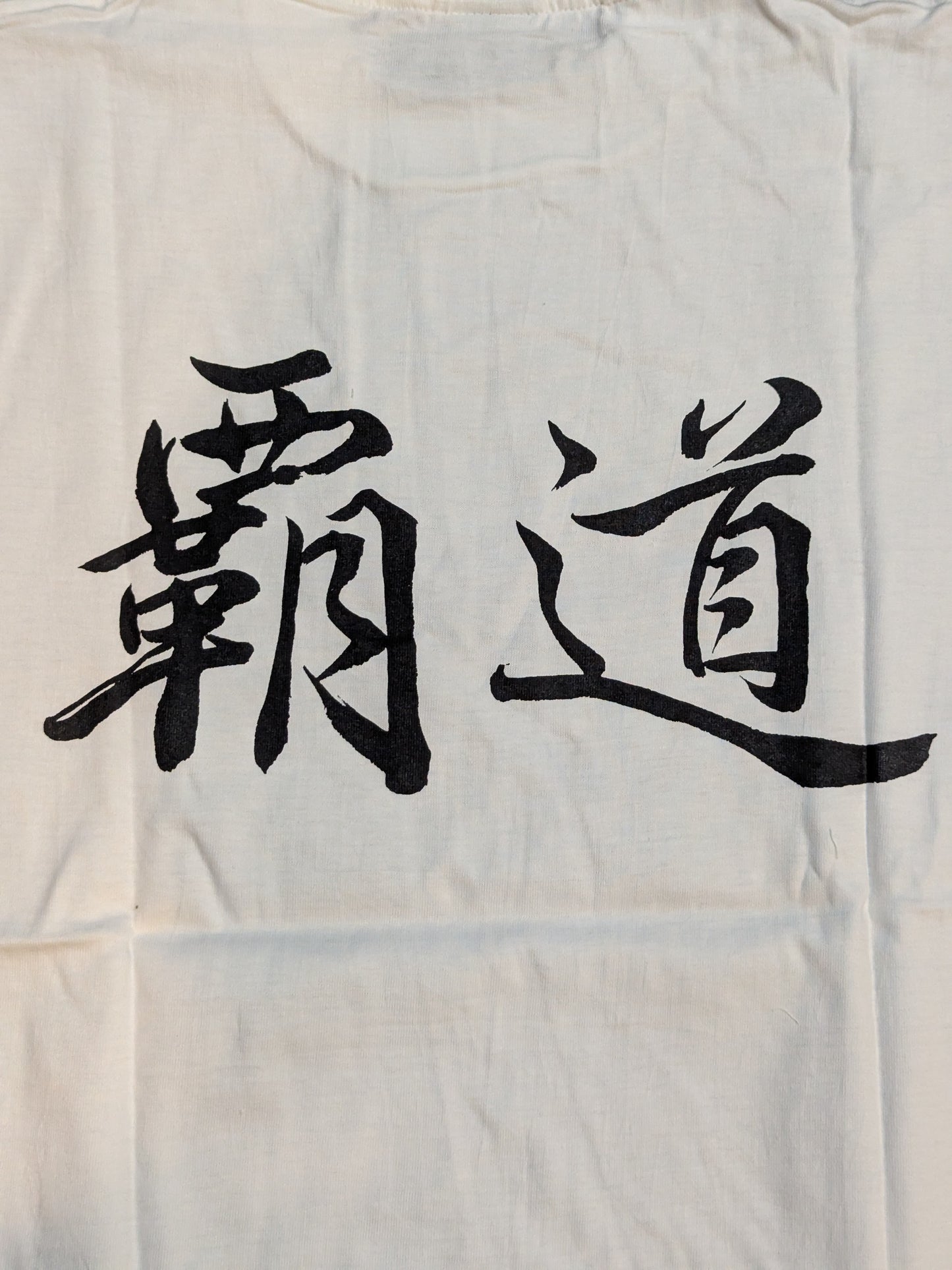 パワー・ウォリアー 坂井永年氏イラストTシャツ