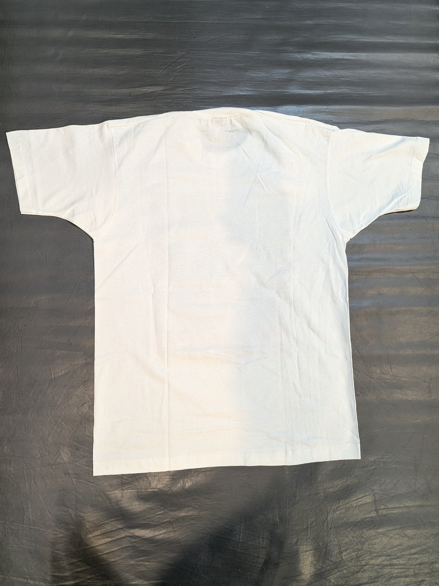 Steiner Brothers Picture T-Shirt