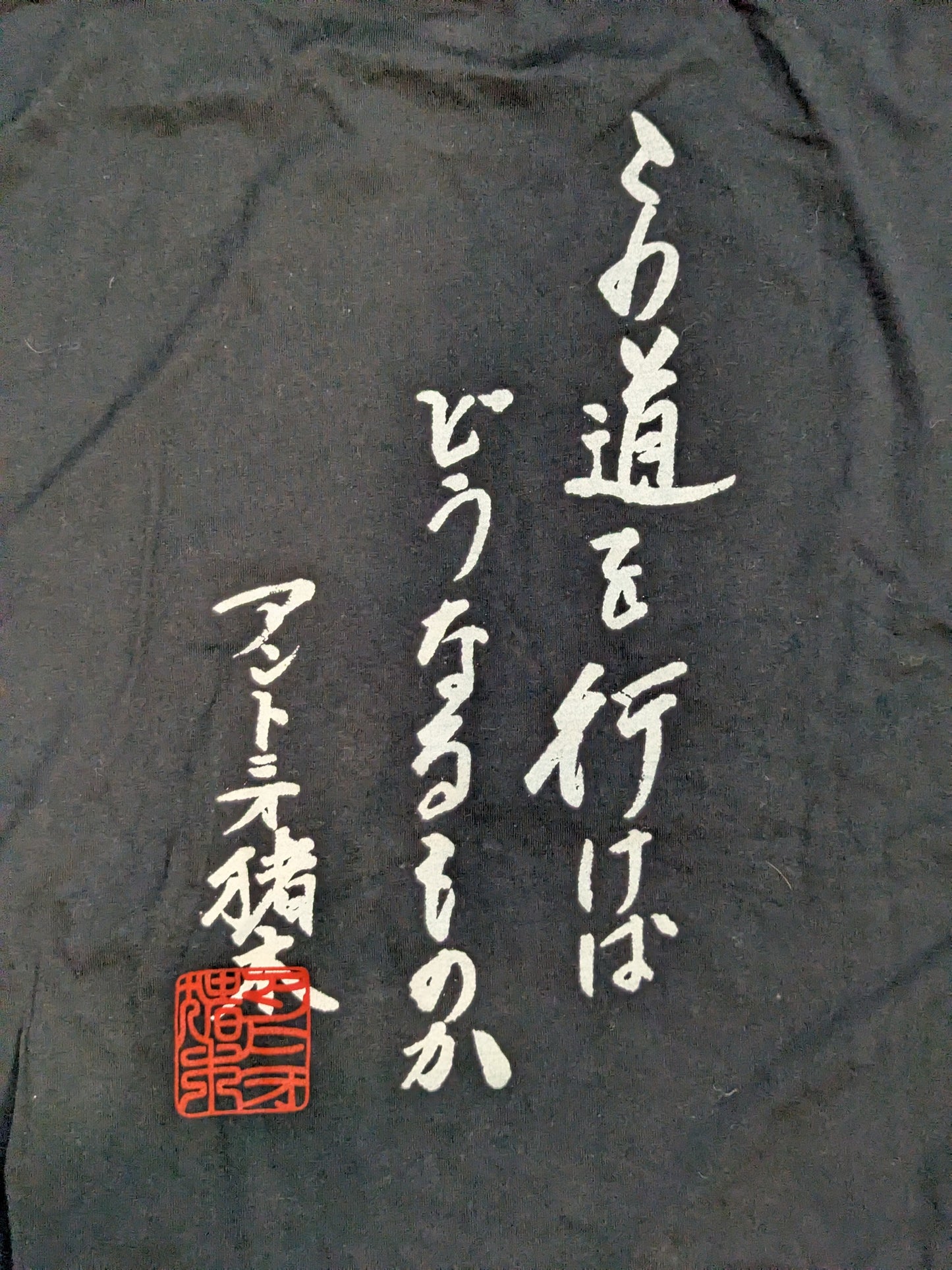 Antonio Inoki × SOUL 'What Will Happen If I Walk This Road?' T-shirt