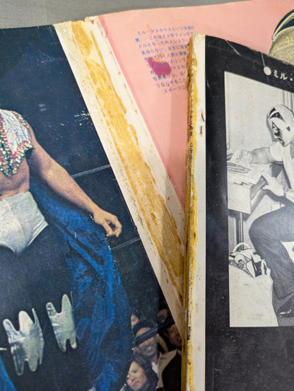Mil Mascaras  Its Brilliant World
