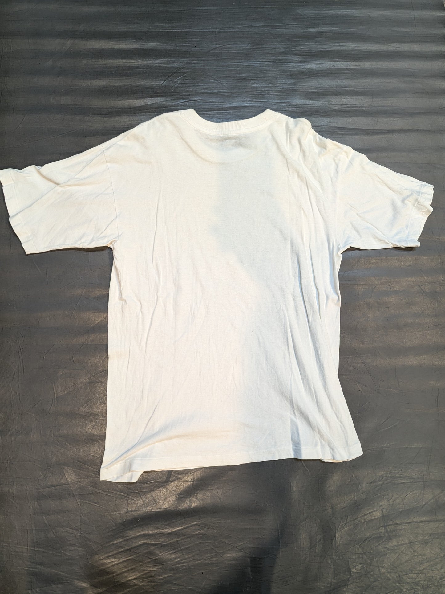 00.4.7 東京ドーム DOME IMPACT 坂井永年氏イラストTシャツ