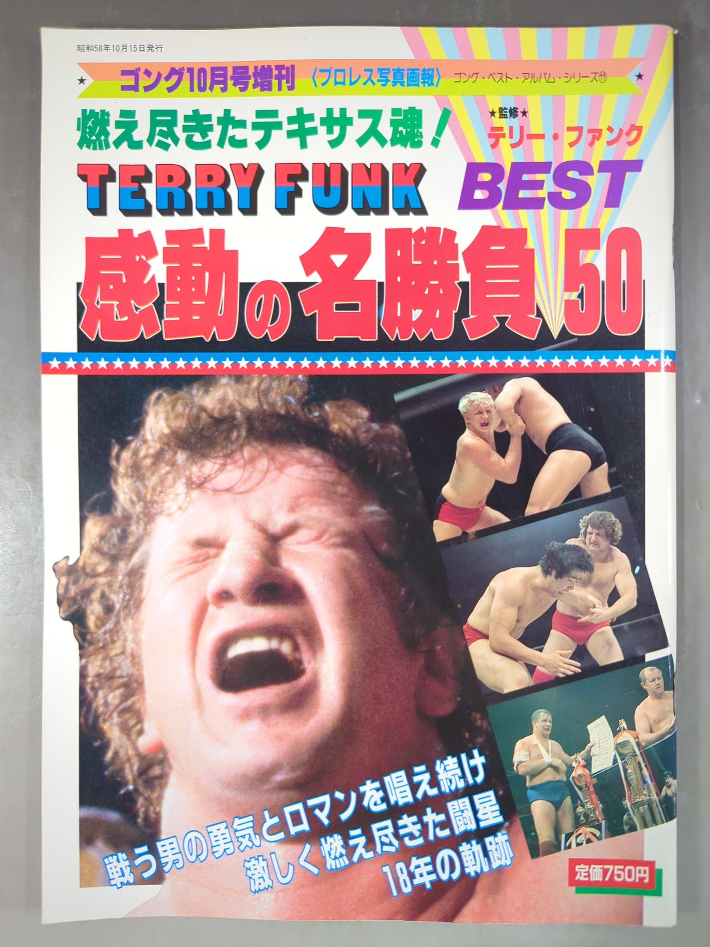 ゴング増刊号 テリー・ファンク感動の名勝負BEST50 ～ゴング・ベスト・アルバム・シリーズ～