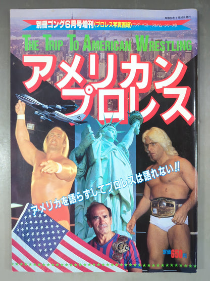 ゴング増刊号 アメリカン・プロレス～ゴング・ベスト・アルバム・シリーズ⑧～