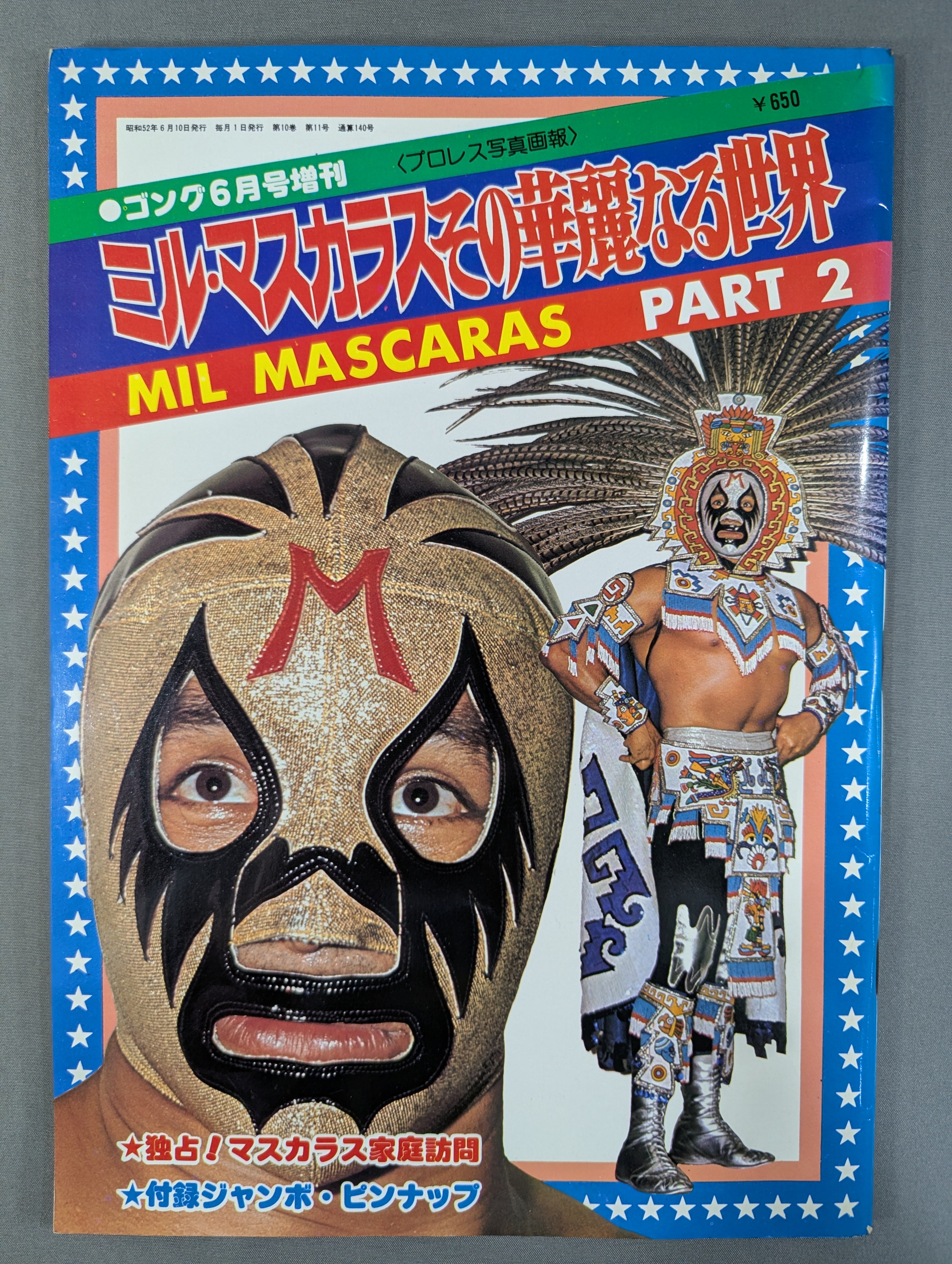 ミル・マスカラス その華麗なる世界 PART2 – 闘道館