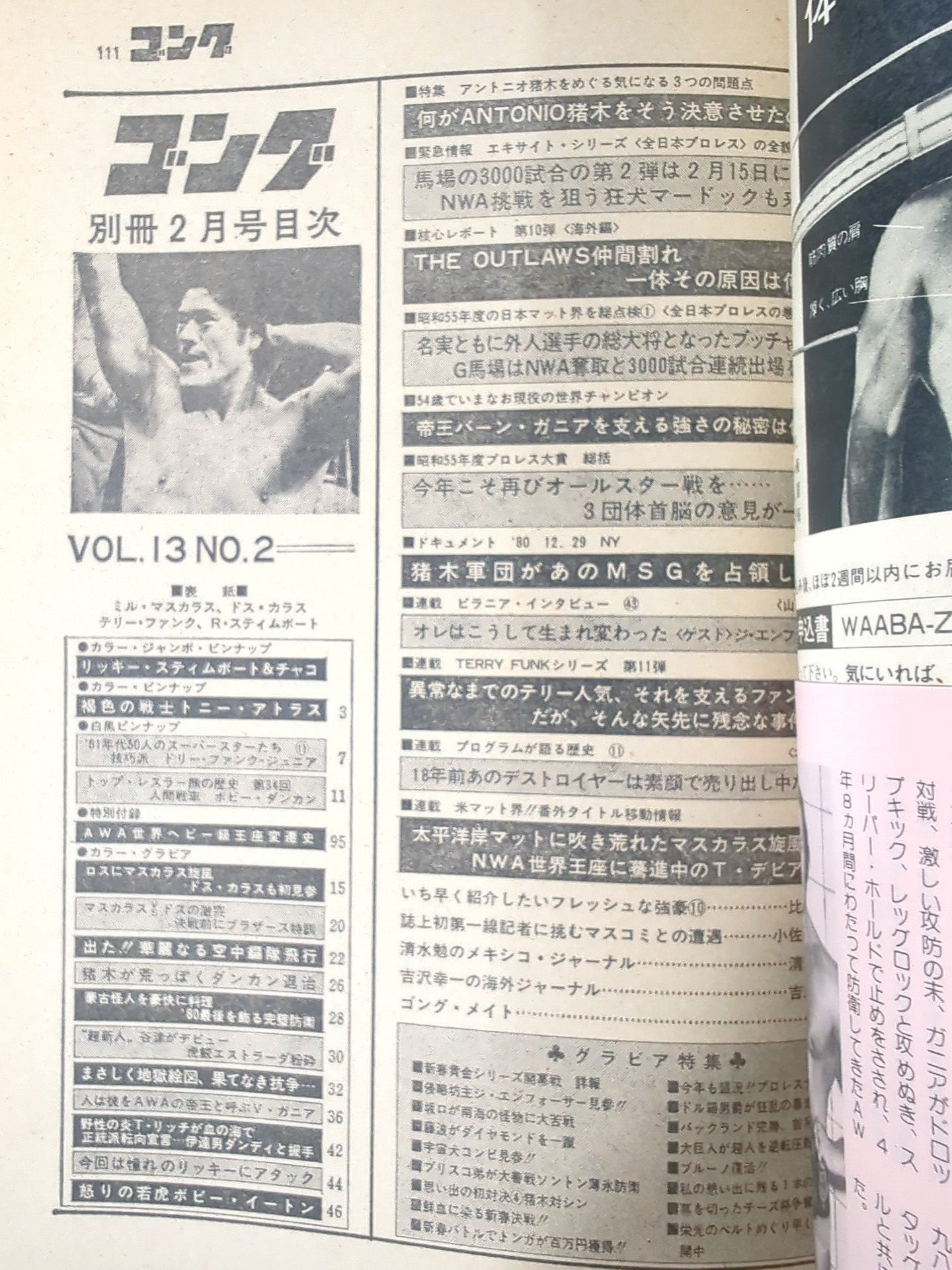 別冊ゴングVol.13 No.2