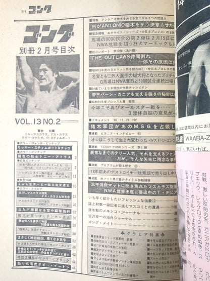 別冊ゴングVol.13 No.2