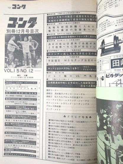 別冊ゴングVol.15 No.12