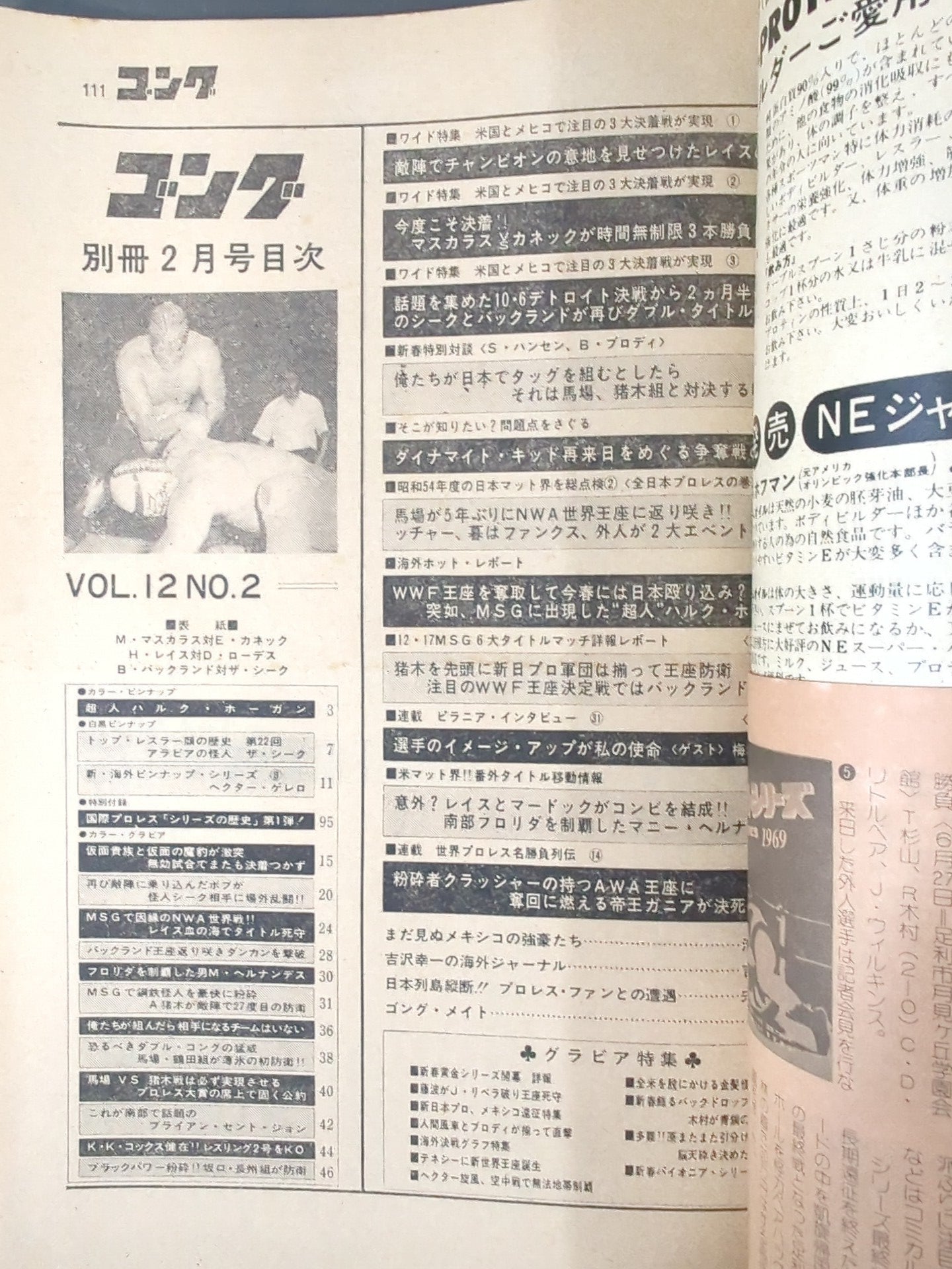 別冊ゴングVol.12 No.2