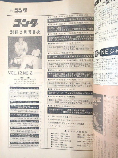 別冊ゴングVol.12 No.2