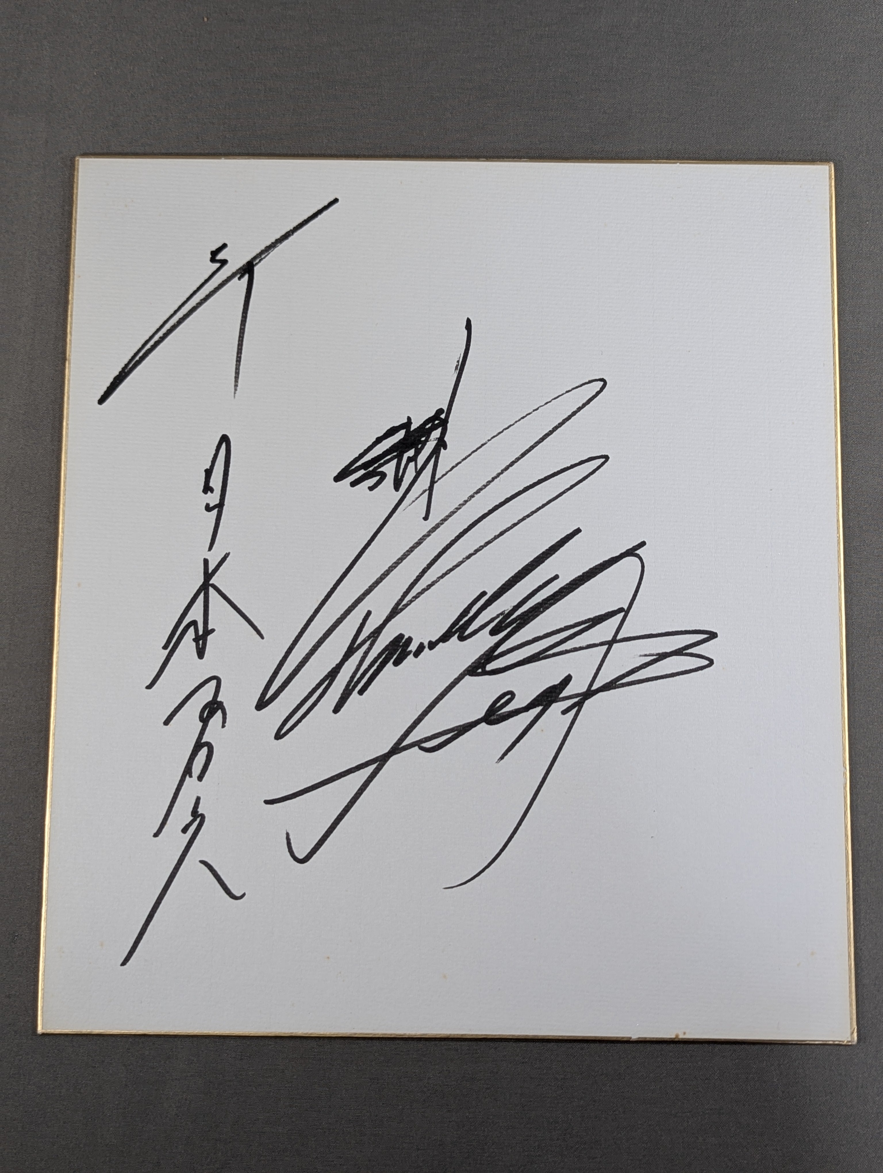 ■ライガー■天山■中西■永田■西村 サイン5枚セット 獣神サンダー・ライガー – 闘道館