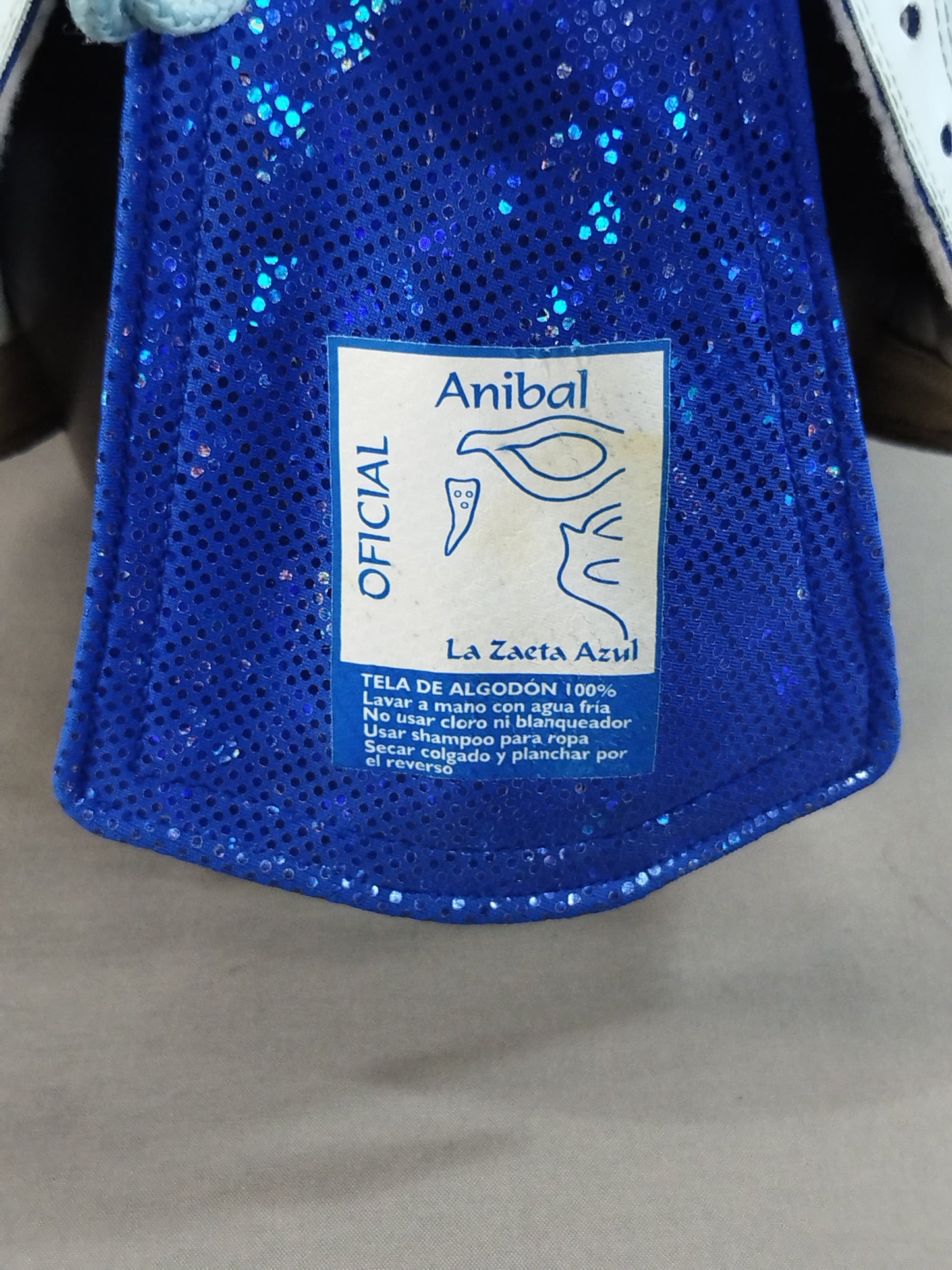 Ijo de Anibal