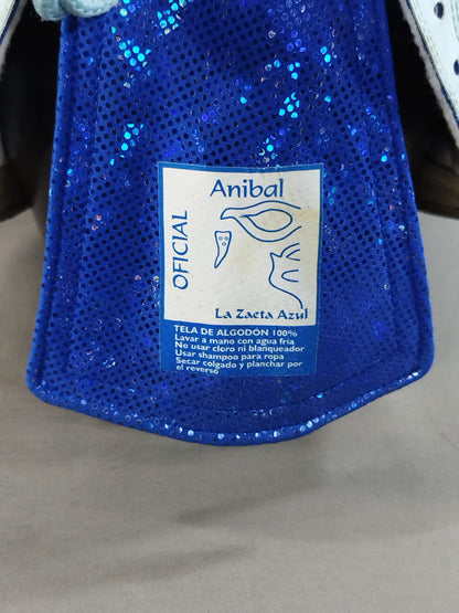 Ijo de Anibal