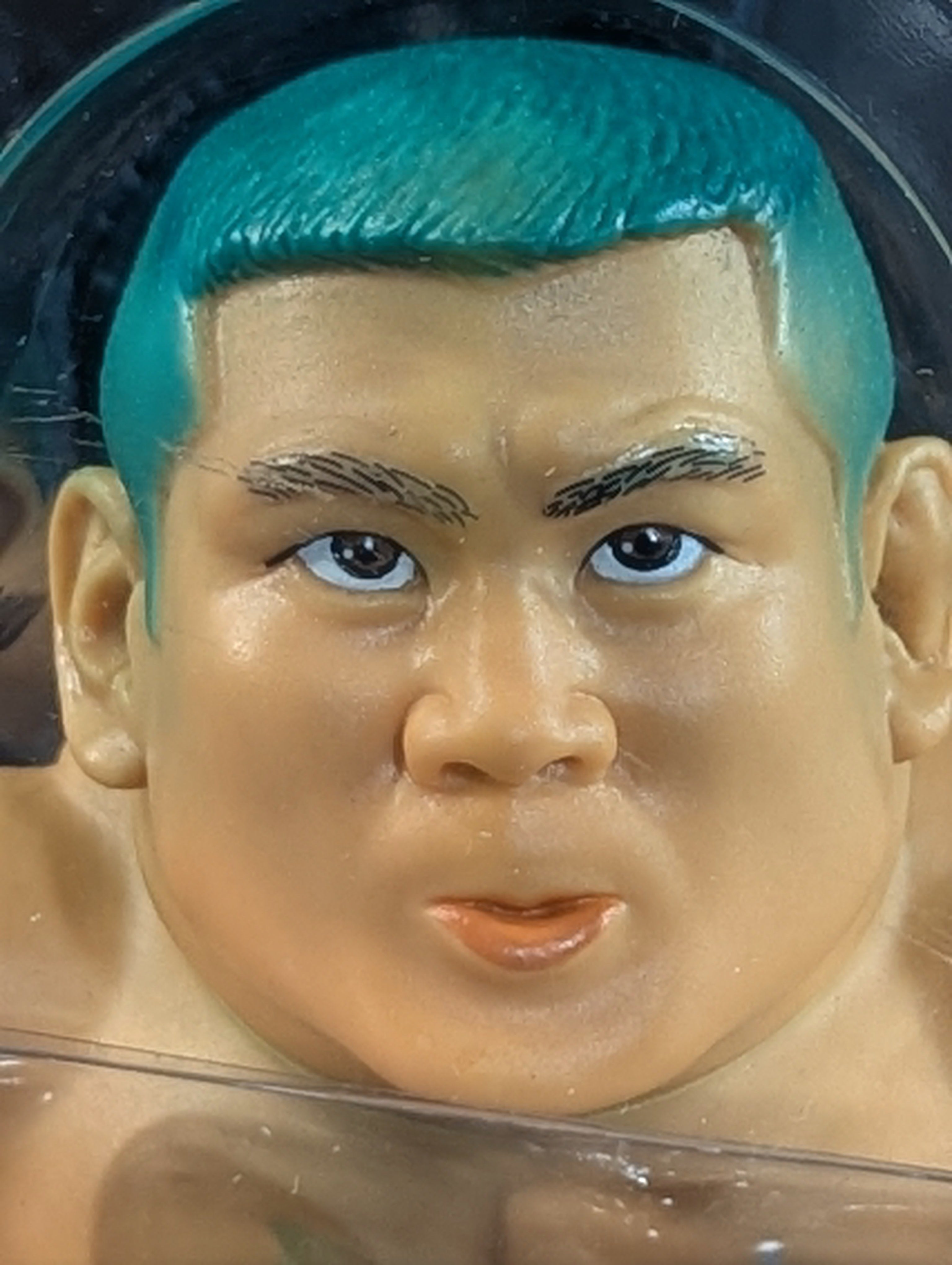 藤田和之 – 闘道館