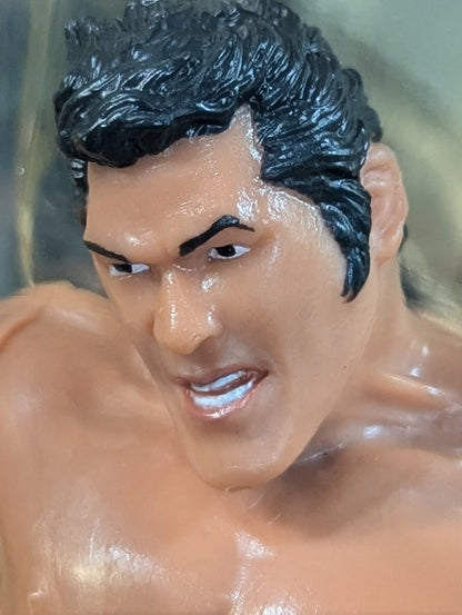 Antonio Inoki  (medulla oblongata slash)