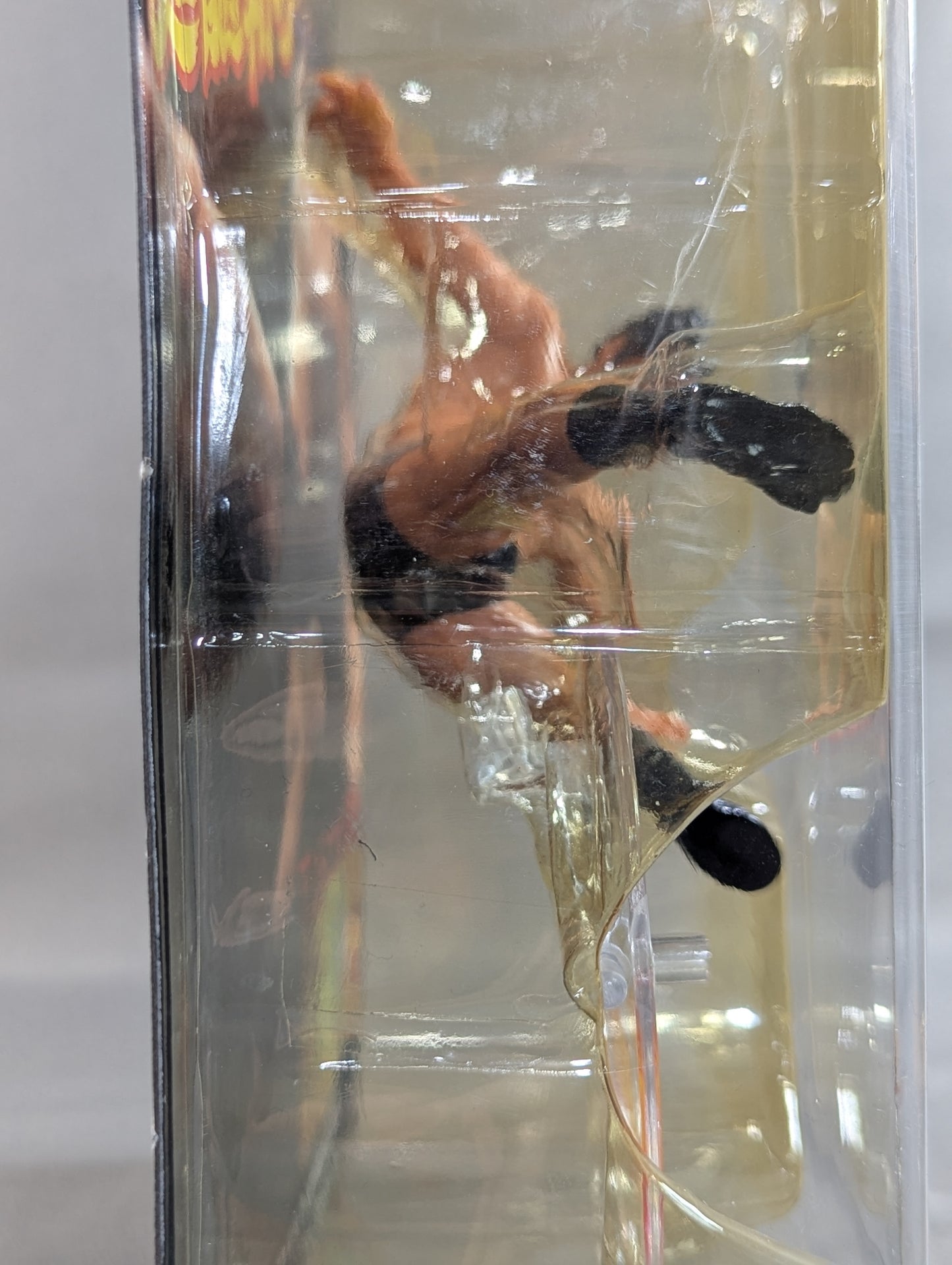 Antonio Inoki  (medulla oblongata slash)