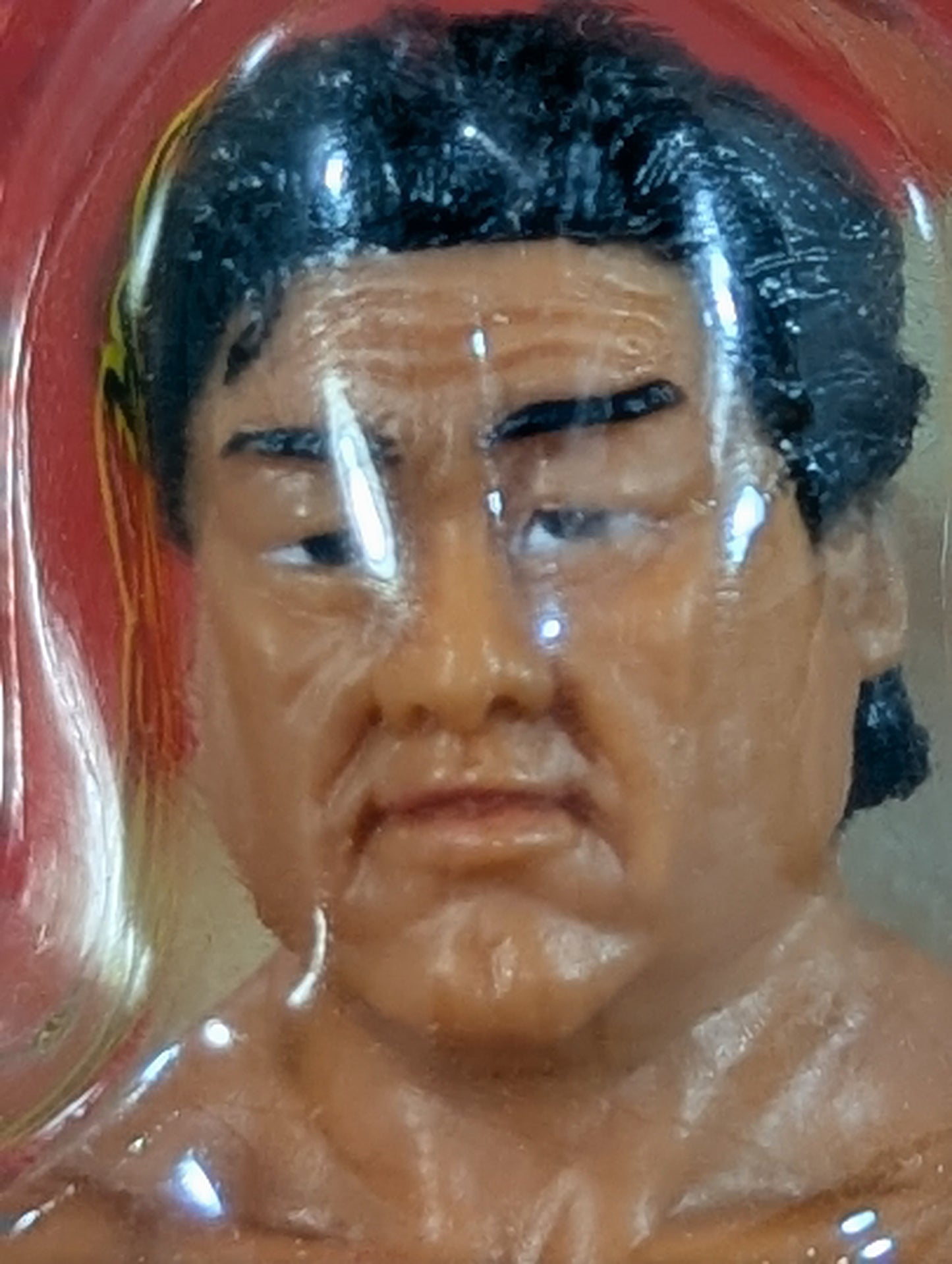 Tenryu Genichiro 