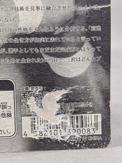 三沢光晴(ヒゲ・GHCベルト)