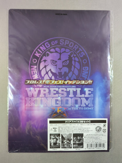 新日本プロレス「WRESTLE KINGDOM13」クリアファイル3枚セットC