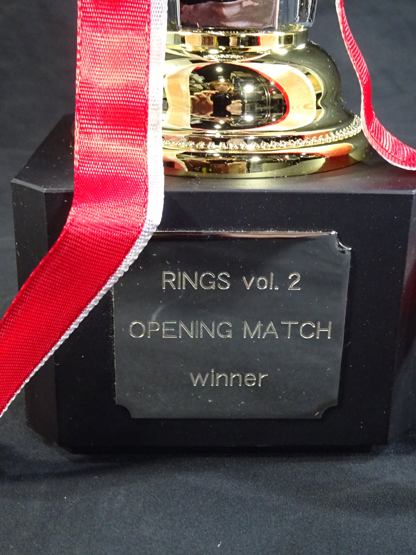 RINGS VOL.2 勝利者トロフィー