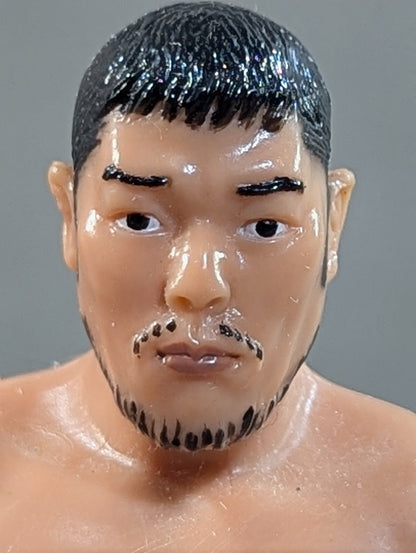 Akira Taue  (Fighting Pose)