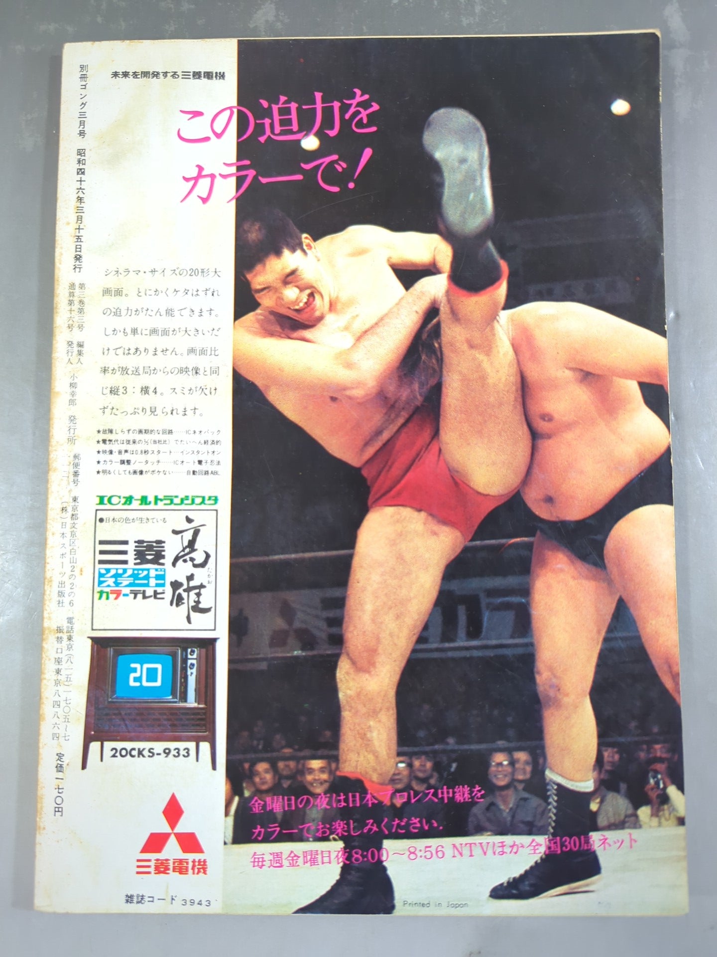 別冊ゴングVol.3 No.3 – 闘道館