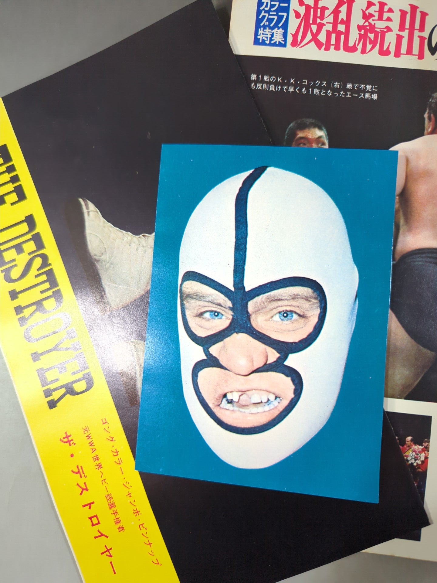 別冊ゴングVol.3 No.5 – 闘道館