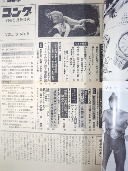 別冊ゴングVol.3 No.5