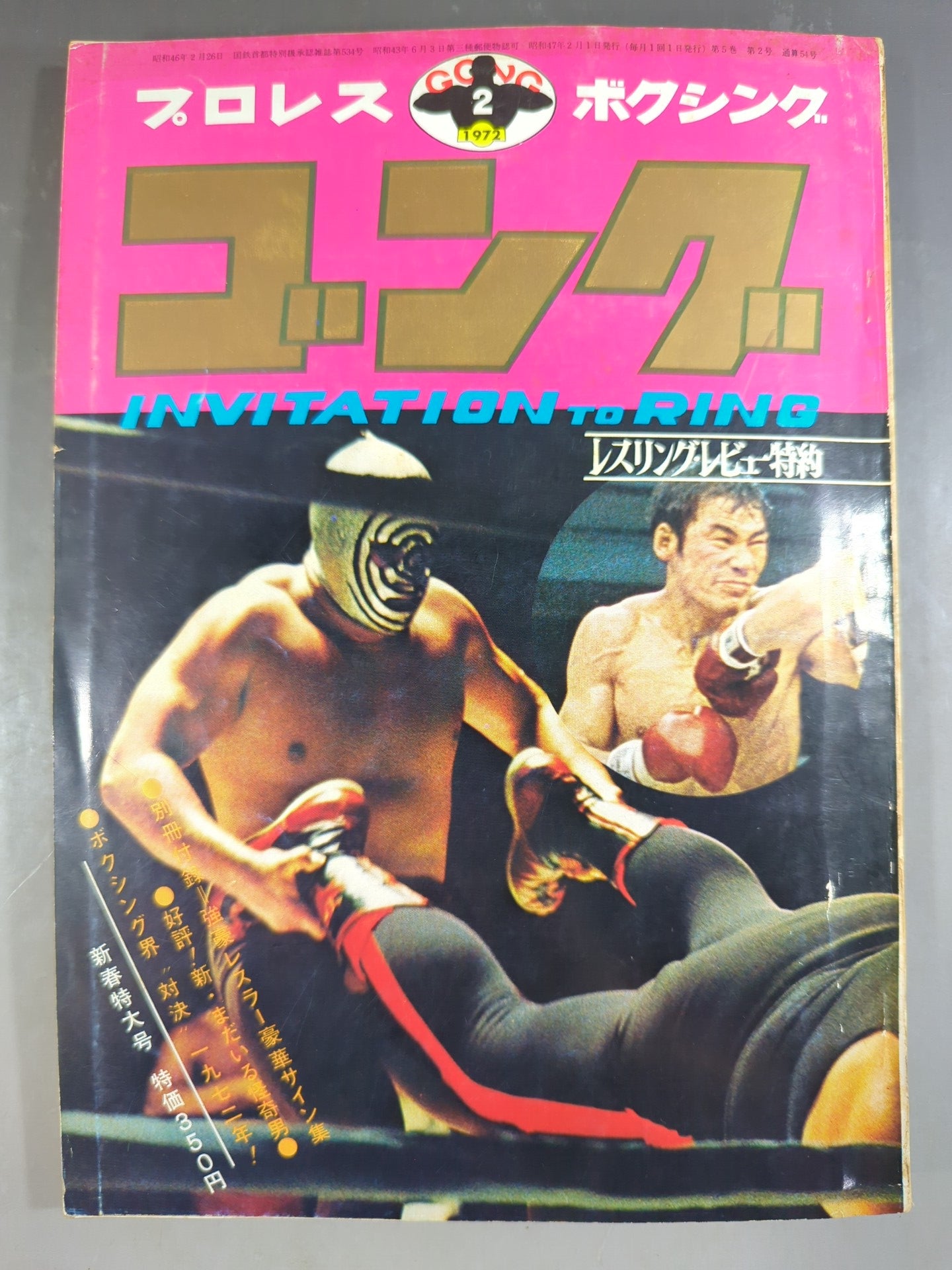月刊ゴングVol.5 No.2