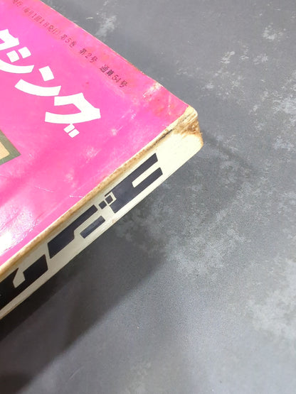 月刊ゴングVol.5 No.2