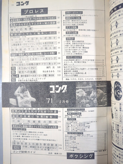 月刊ゴングVol.4 No.2