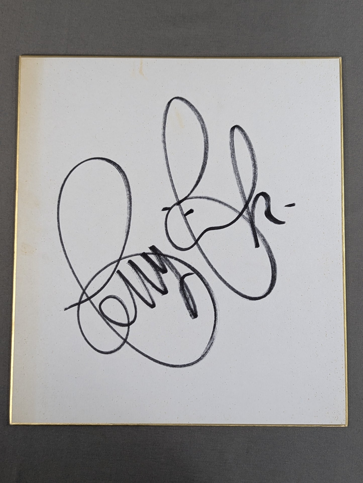 Terry Funk