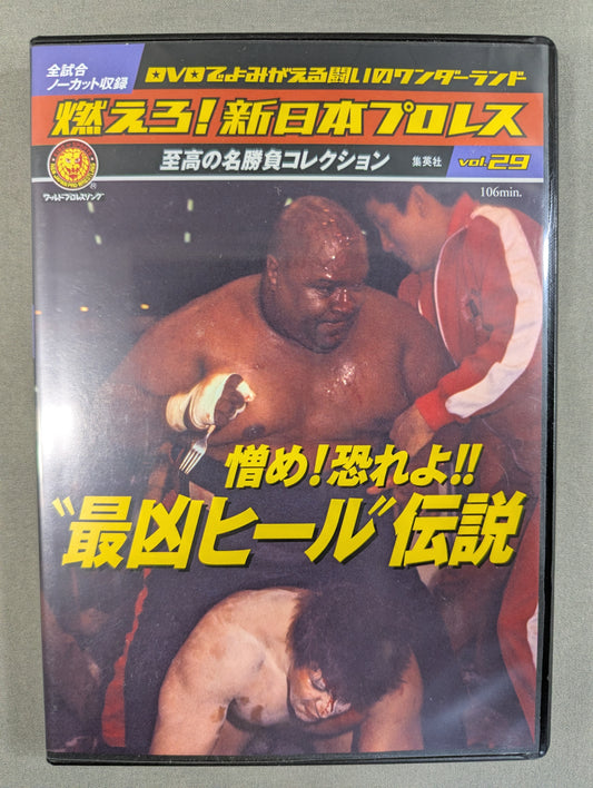 Burn! New Japan Pro Wrestling  vol.29