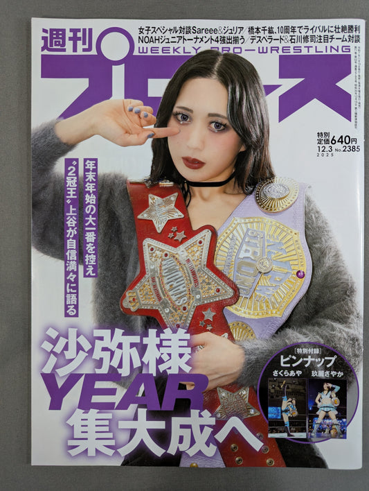Weekly Pro Wrestling 2385
