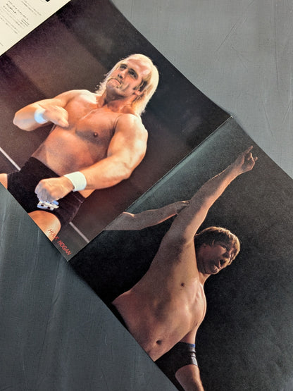 ザ・プロレスリング