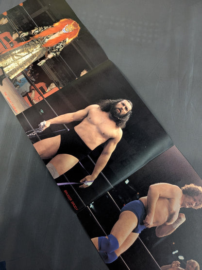 ザ・プロレスリング