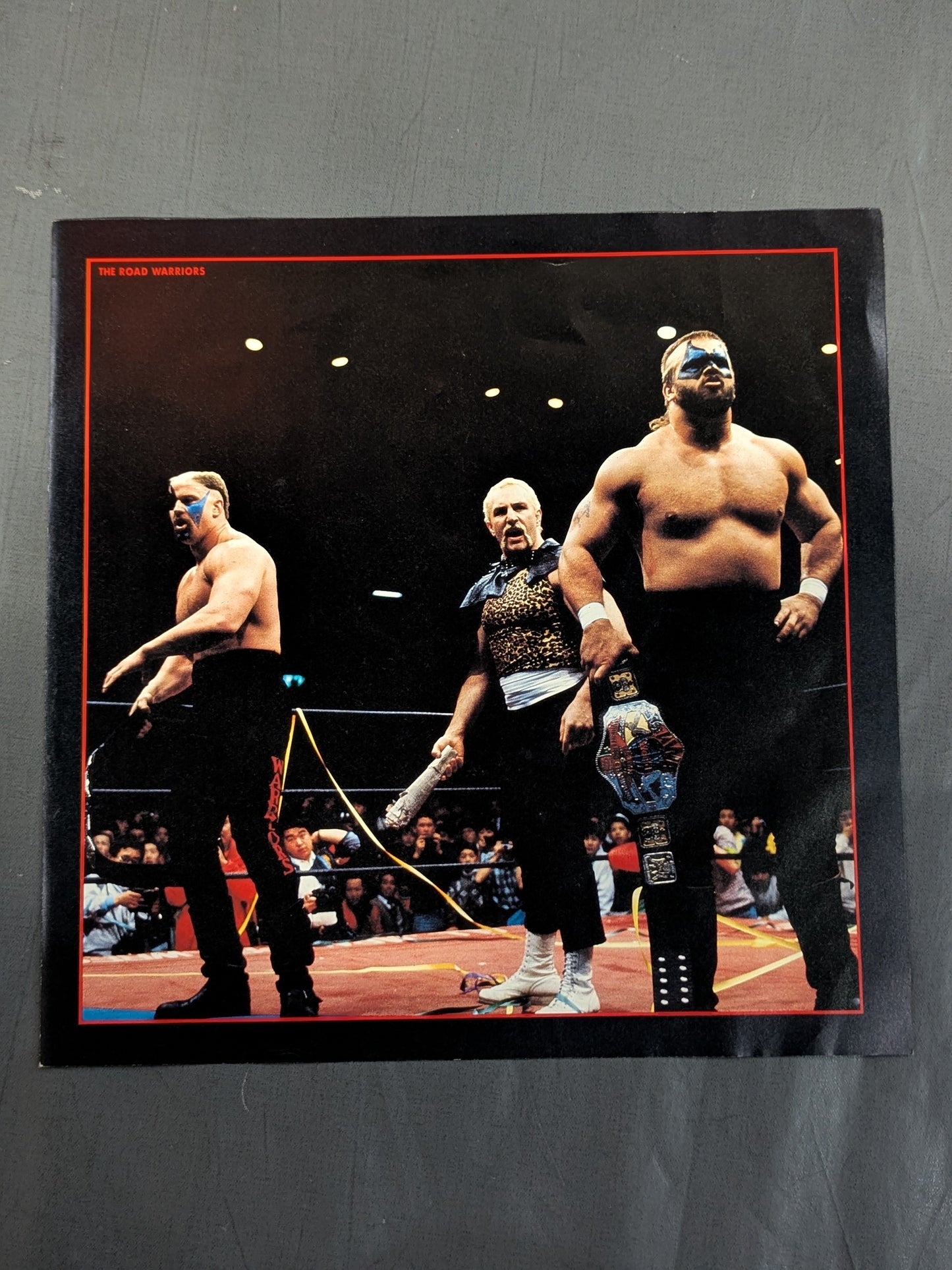 The Pro-wrestling  3