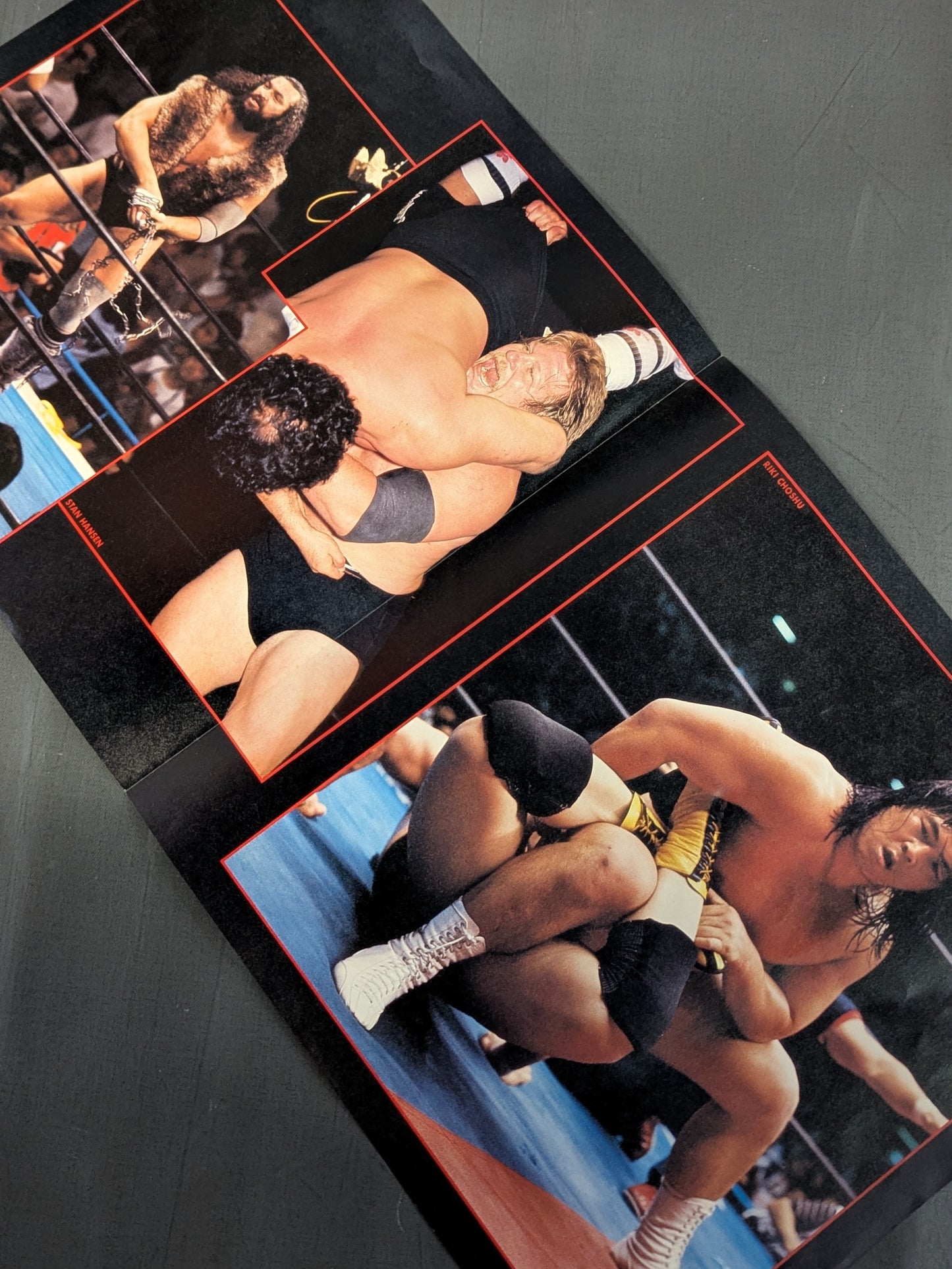 The Pro-wrestling  3
