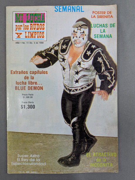 MI LUCHA por los RUDOS Y LIMPIOS No.11