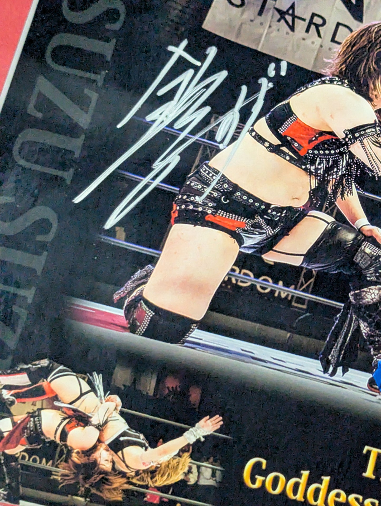 ★CRAZY STAR★ Suzu Suzuki &MEI SEIRA 2 hand signed autographs Commemorative photo frames