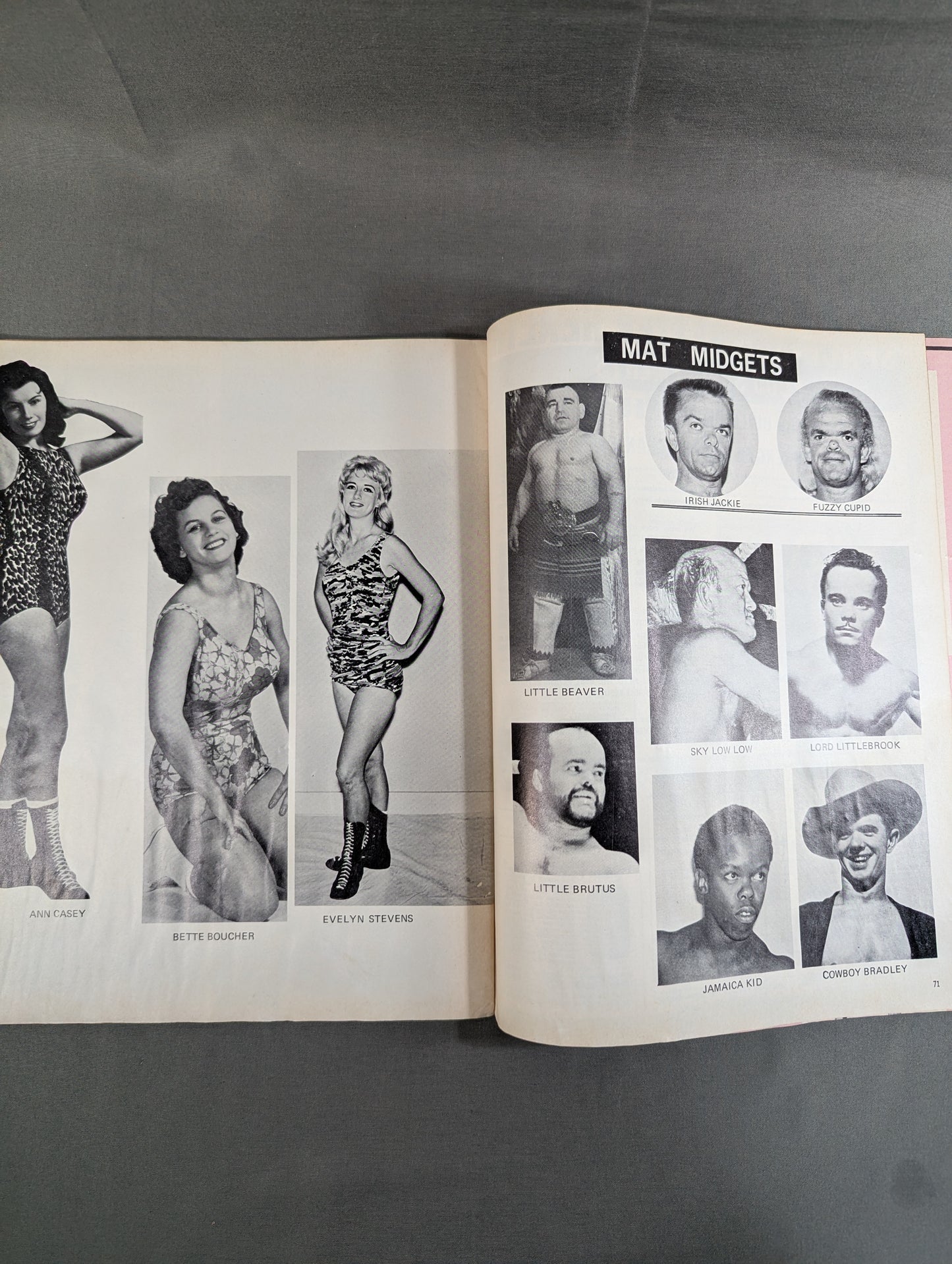 Wrestling REVUE ALBUM 1968