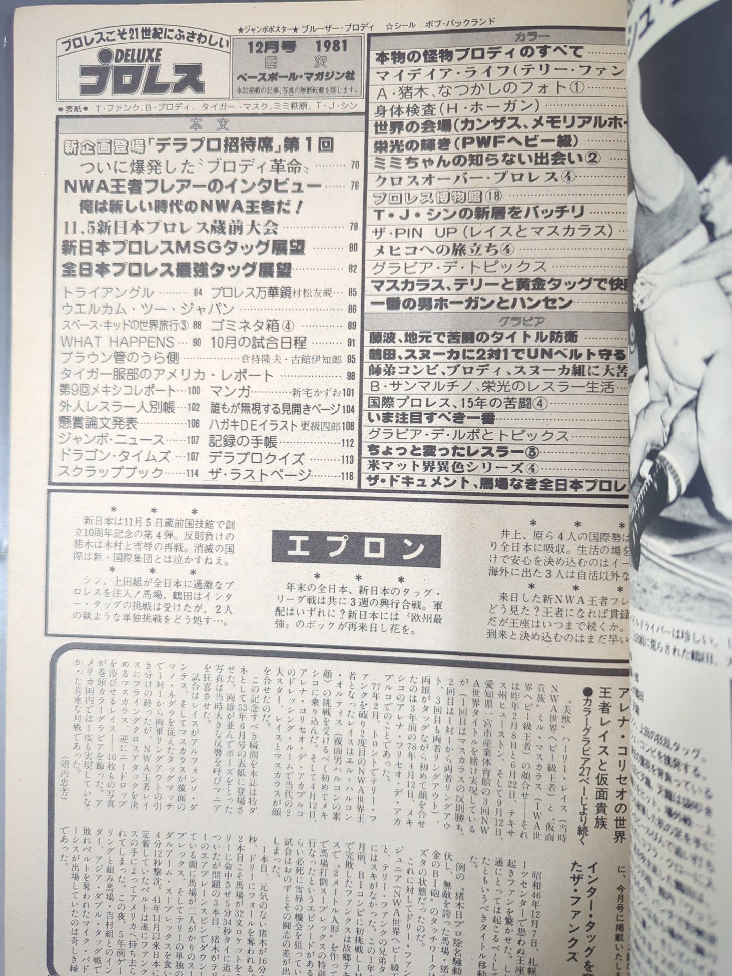 Deluxe Pro Wrestling December 1981