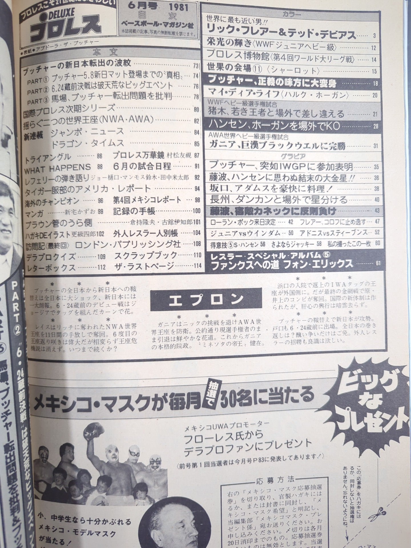 デラックスプロレス 1981年7月号 – 闘道館